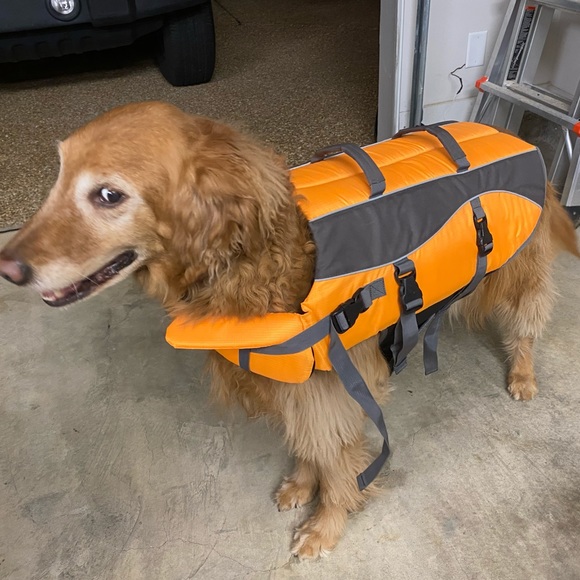 Dog Doggie Life Jacket Poshmark